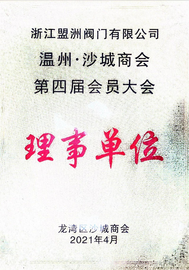 Certificate of Director Unit of the Fourth Member Conference of Wenzhou Shacheng Chamber of Commerce